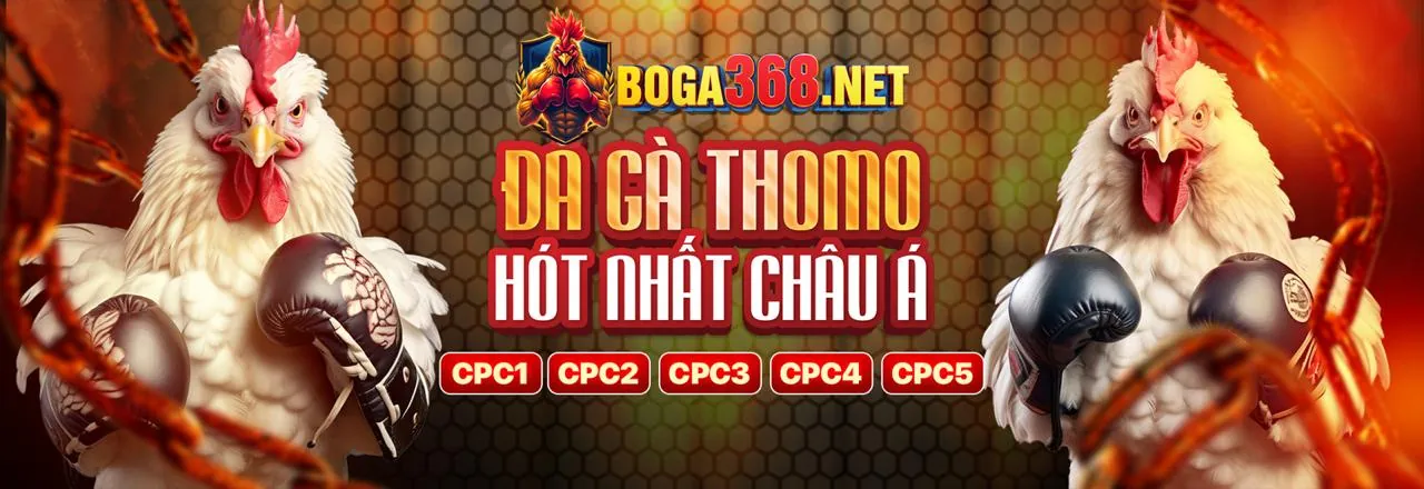 Hình ảnh Đá Gà trực tuyến tại gi88 chính thức